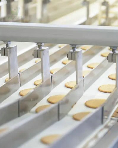 Tira de aço inoxidável 310s na indústria de processamento de alimentos