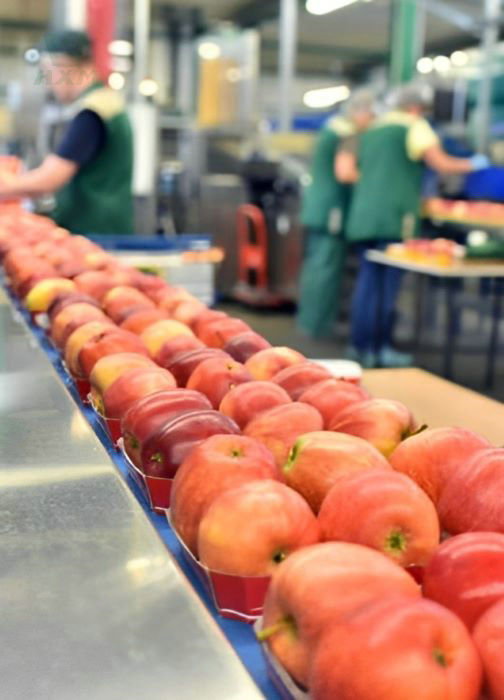 tubo redondo de acero inoxidable en la industria de procesamiento de alimentos