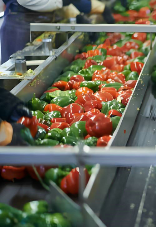 tube soudé en acier inoxydable dans l'industrie agroalimentaire