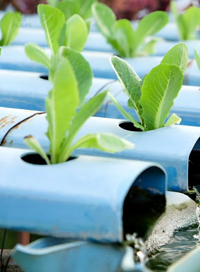 Presse à tubes en acier inoxydable de jauge dans les systèmes de récupération d'eau de pluie