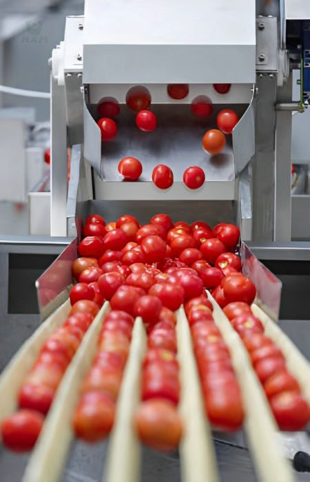 Tubo de aço inoxidável 202 sem costura no processamento de alimentos e bebidas